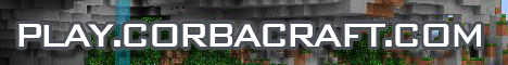 server banner