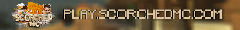 server banner