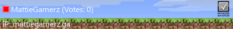 Banner 1