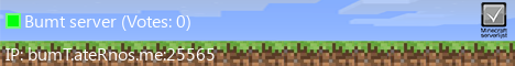 Banner 1